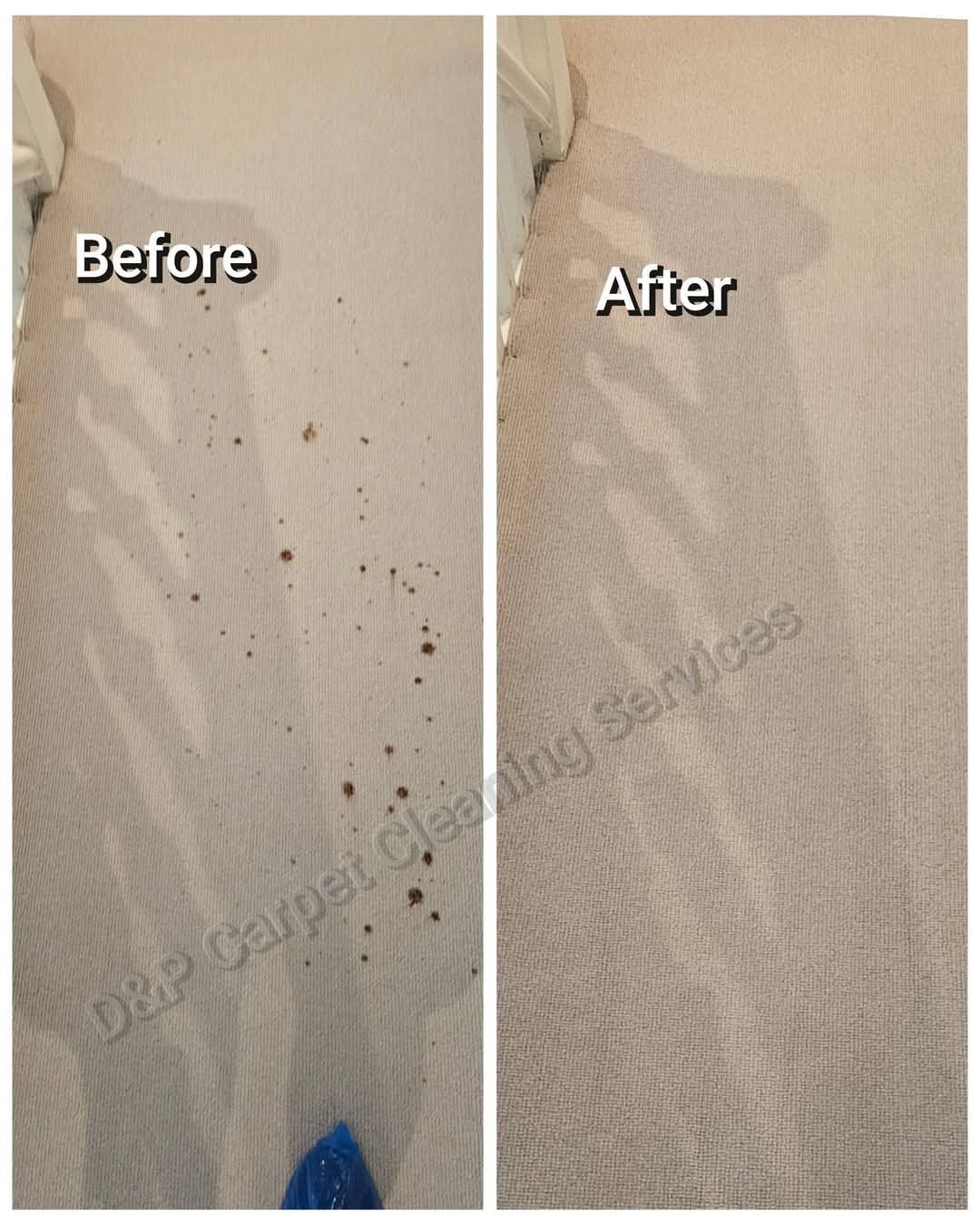 Before and after removal of dark spots from a beige carpet